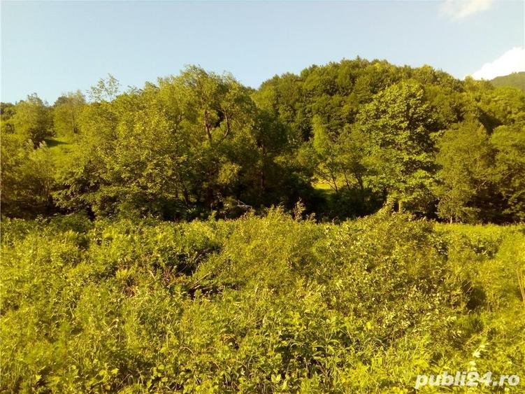 Teren de 6000 mp, în Crasna
