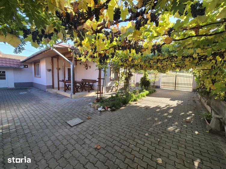 Casă cu 4 camere cu Teren 1249 Mp în Vladimirescu