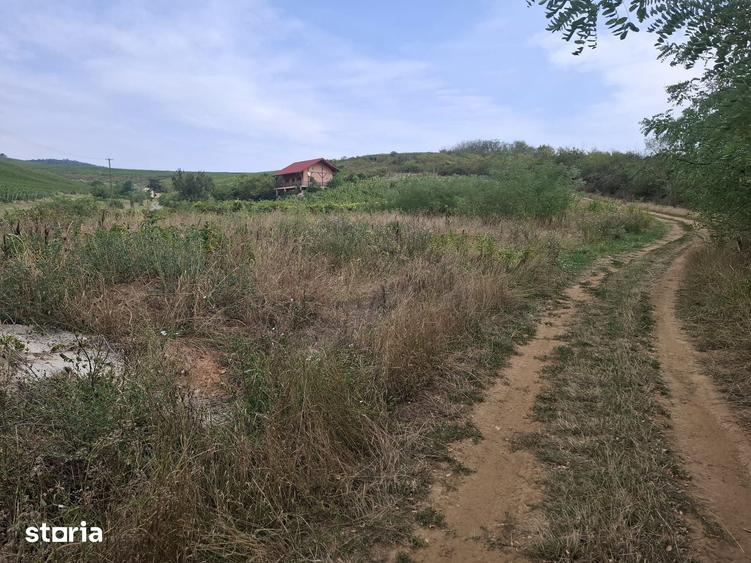 Teren de 2200 mp, în Ghioroc