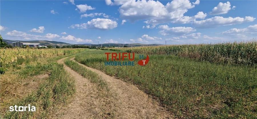 Teren intravilan construibil de 5.900 mp, zona industriala, ?oseaua de - 2