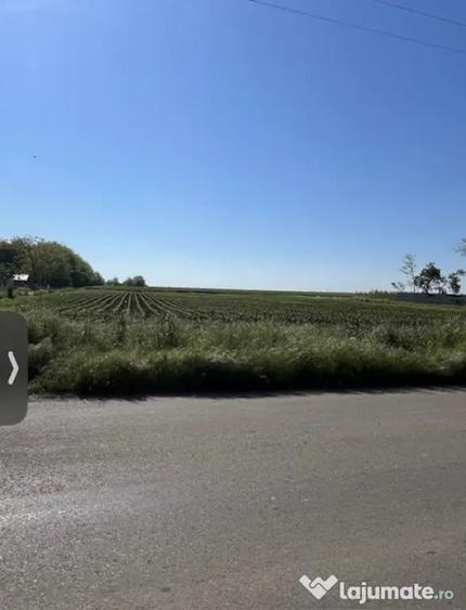 Teren de 1000 mp, în Sărulești