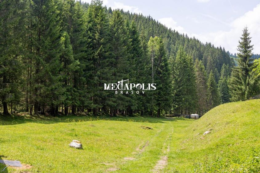 Teren Construcții intravilan de 12307 mp, în Moieciu de Sus