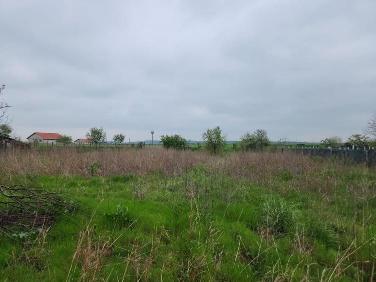 Casă cu 3 camere în Rogova