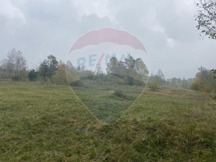 Teren Construcții intravilan de 8119 mp, în Călățele