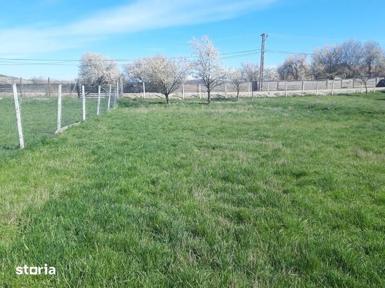 Teren de 700 mp, în Ștrand
