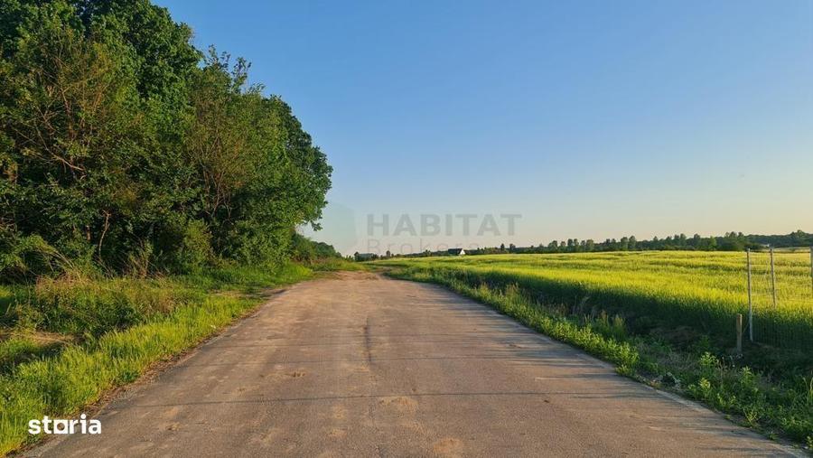 Teren de 8569 mp, în Ciolpani