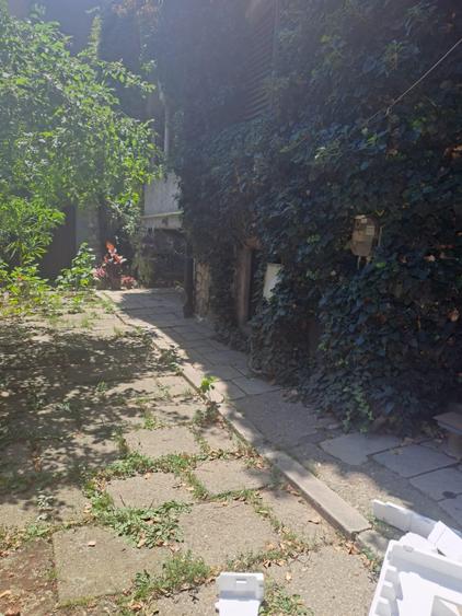 Mihai Bravu garsoniera in vila - 1
