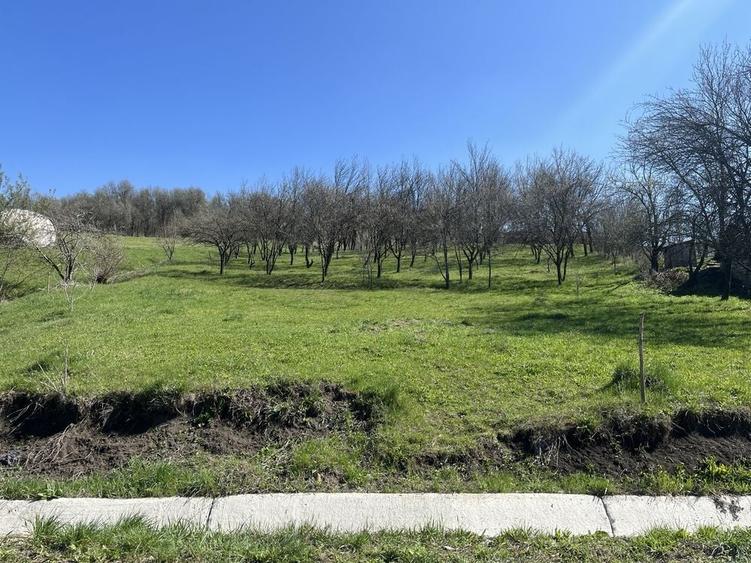 Teren de 2250 mp, în Aluniș