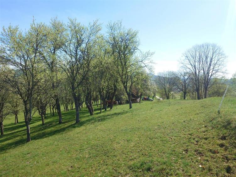 Teren intravilan de 11423 mp, în Luncoiu de Jos