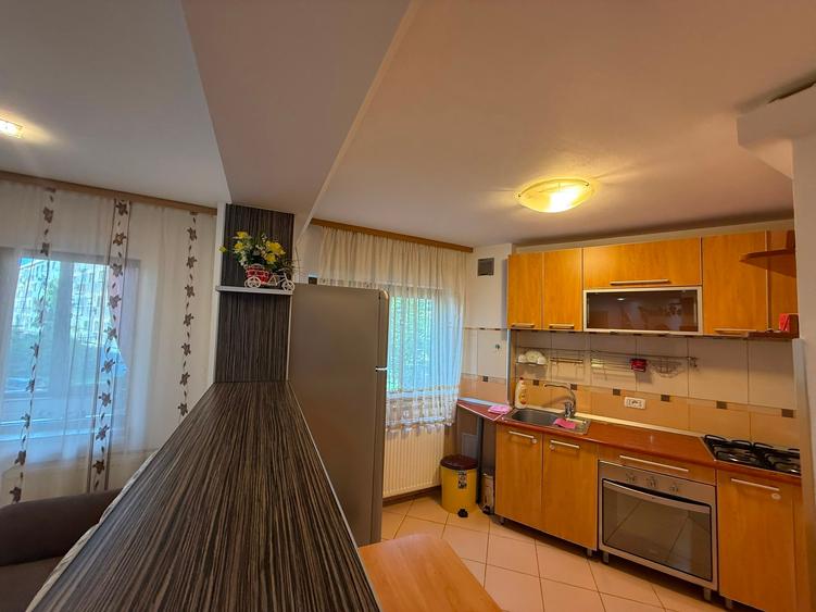 Apartament 2 camere-etaj 1-zona Ion Creanga - 19