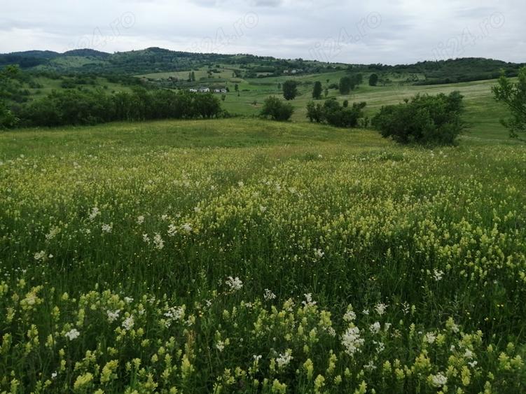 Teren de 4777 mp, în Posești