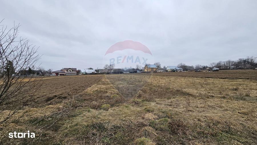 Casă cu Teren 2869 Mp în Siminicea