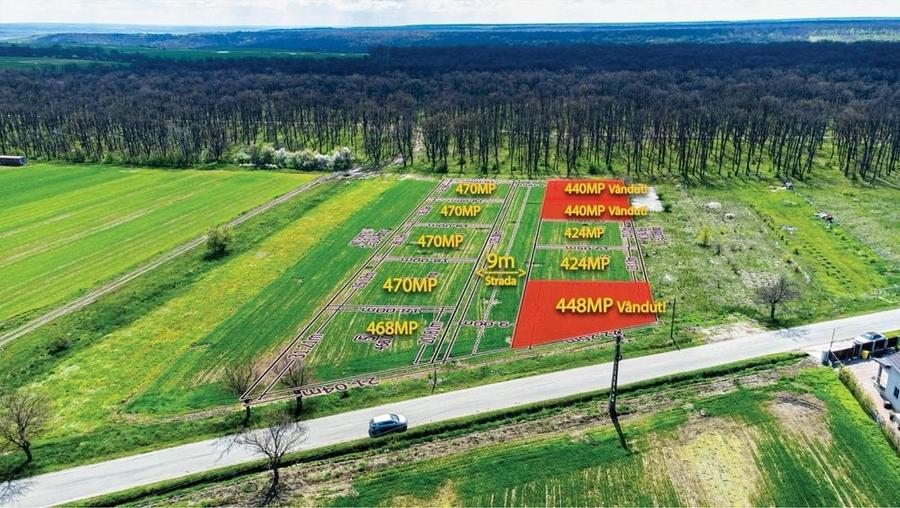 Teren Intravilan langa padure - zona linistita, perfect pentru casa! - 4
