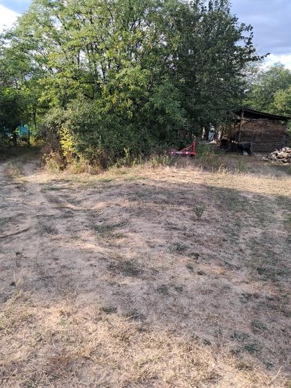Teren Construcții intravilan de 5600 mp, în Urechești