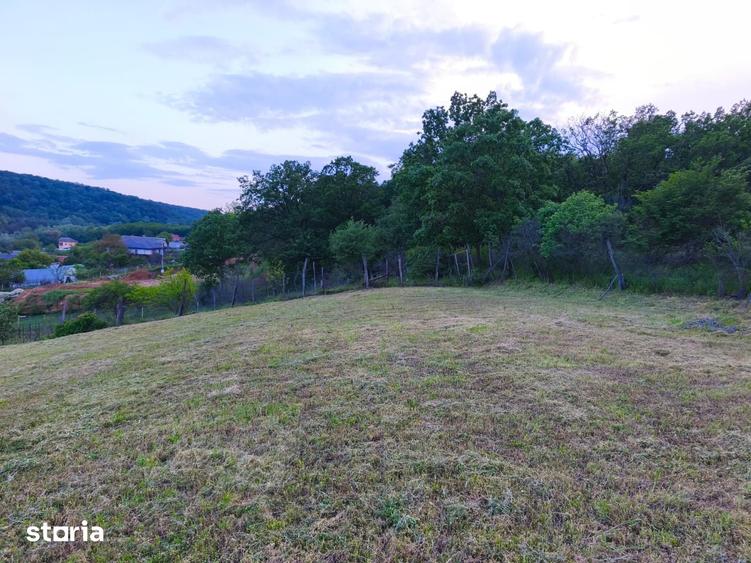 Teren de 2000 mp, în Bucovăț
