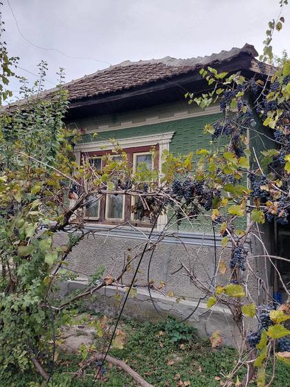 Casă cu Teren 972 Mp în Adâncata