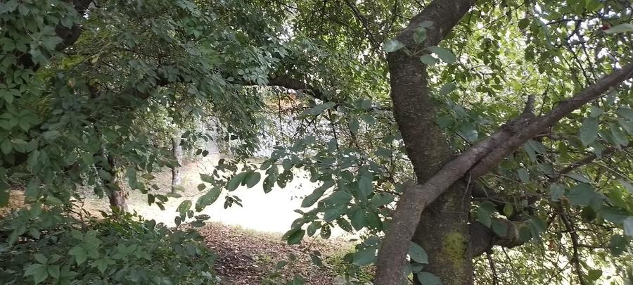 Teren Construcții intravilan de 844 mp, în Central