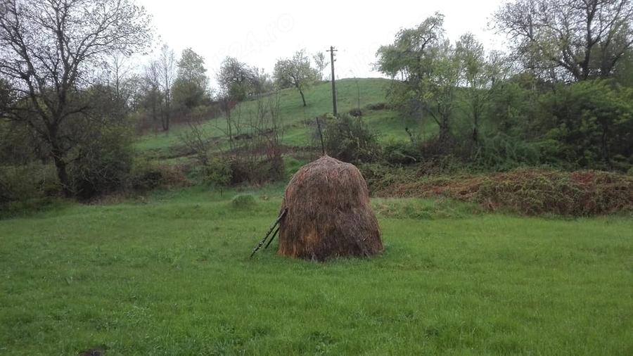 Teren de 2798 mp, în Sârbi