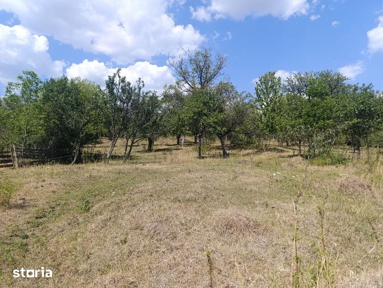 Casă cu 5 camere cu Teren 4200 Mp în Sâncraiu