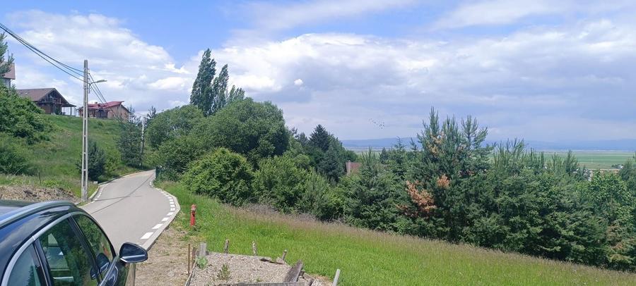Teren Construcții intravilan de 3500 mp, în Cernatu