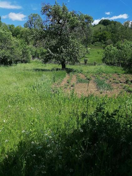 Casă cu 3 camere cu Teren 1500 Mp în Central