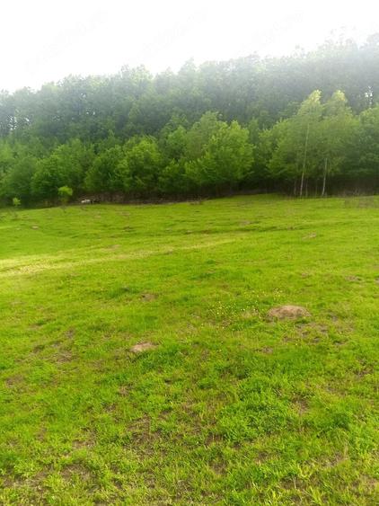 Teren de 5500 mp, în Drăganu