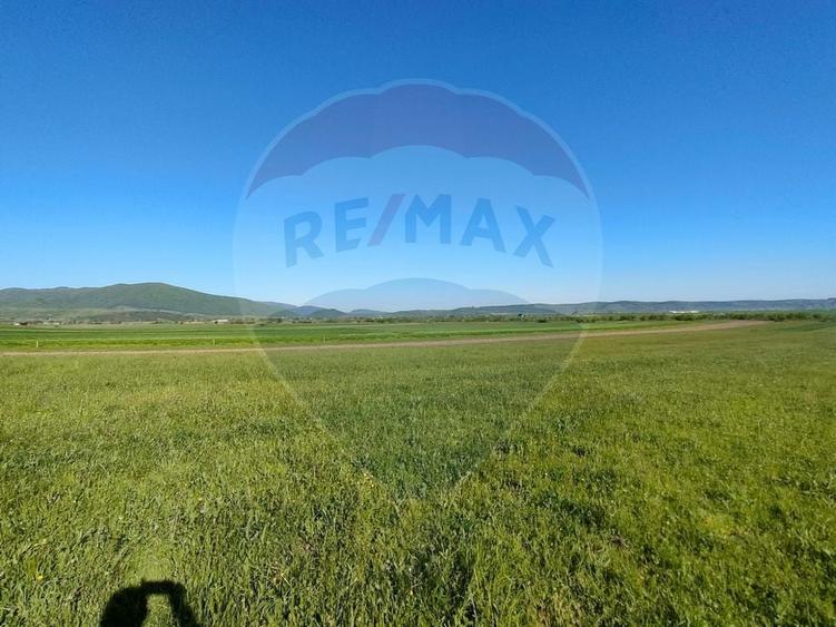 Teren agricol extravilan de 1668 mp, în Gura Râului