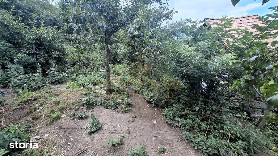 Casă cu 2 camere cu Teren 4000 Mp în Iara