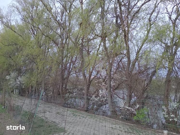 Teren de 2000 mp, în Dămăroaia