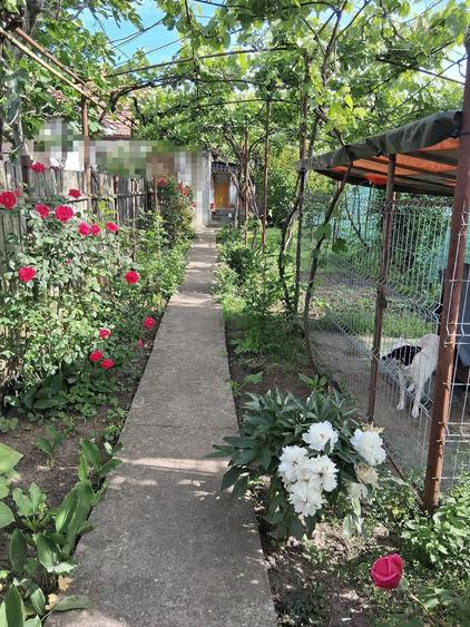 Casă cu Teren 150 Mp în Palas