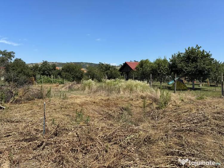 Casă cu 3 camere în Central