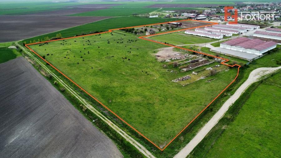 Teren Construcții intravilan de 58340 mp, în Sânmartinu Sârbesc