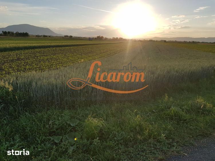 Teren de 4600 mp, în Stupini