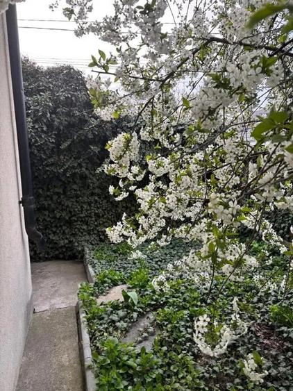 Casă cu 5 camere în Central