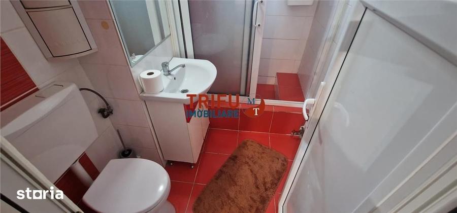 Apartament 3 camere de inchiriat zona Cetate - 6