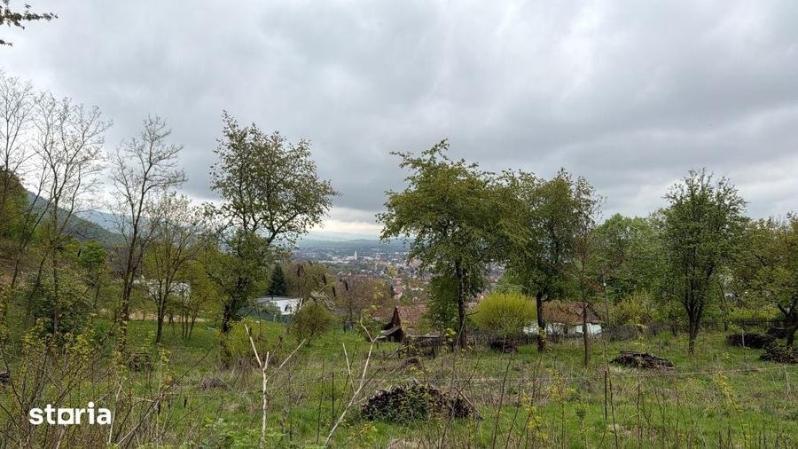 Teren de 1200 mp, în Săsar