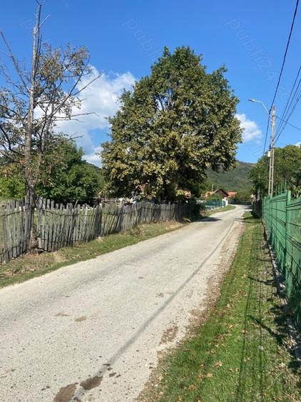 Teren de 3250 mp, în Baia de Fier
