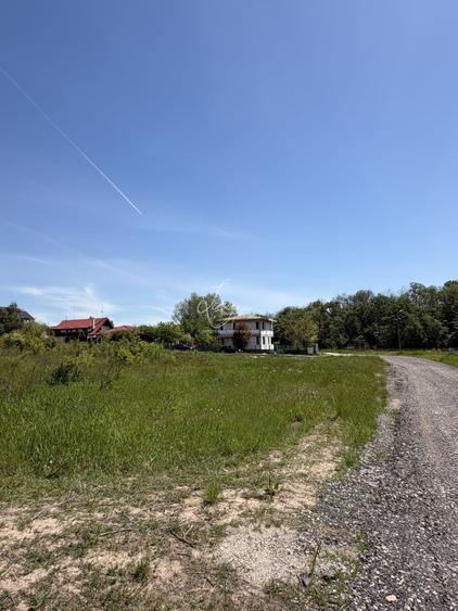 Teren Construcții intravilan de 7500 mp, în Brănești