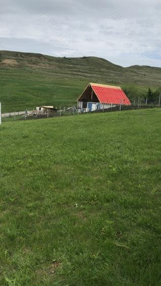 Teren de 1116 mp, în Central