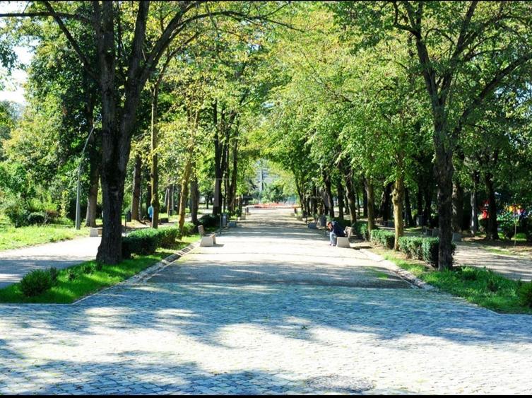 Apartament cu 3 camere în Plopilor