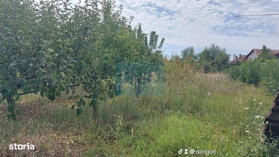 Casă cu 4 camere în Ciocadia