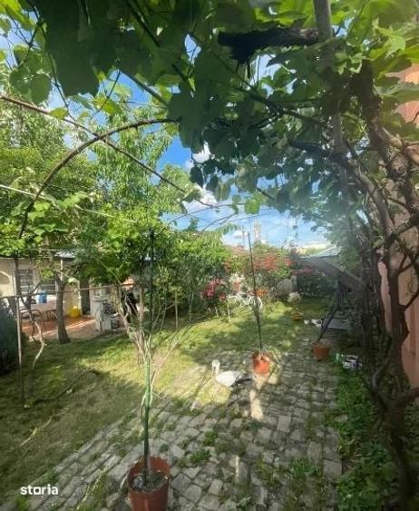 Casă cu 3 camere în Sintești