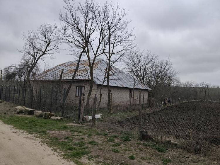Casă cu 4 camere cu Teren 1700 Mp în Băbăița