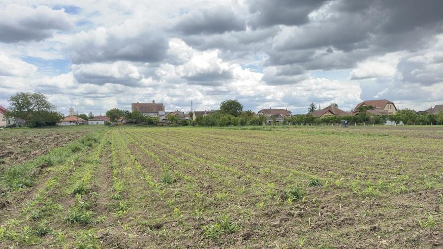 Casă individuală cu 4 camere cu Canalizare în Nord-Vest