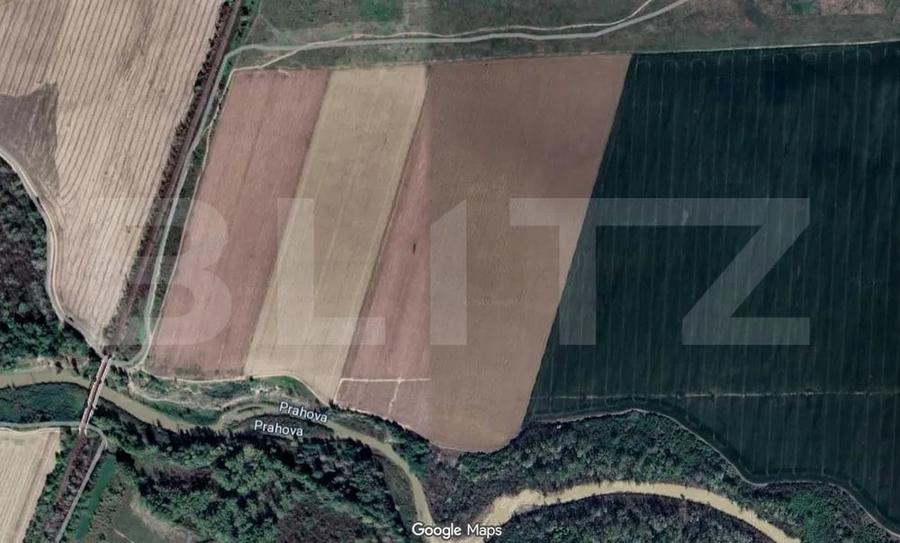 Teren agricol extravilan de 90000 mp, în Puchenii Mari