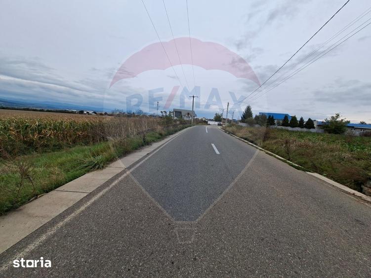 Teren de 5000 mp, în Central