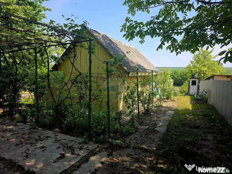 Teren de 4516 mp, în Doina