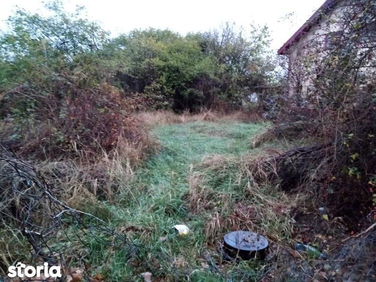 Teren de 1200 mp, în Chiajna