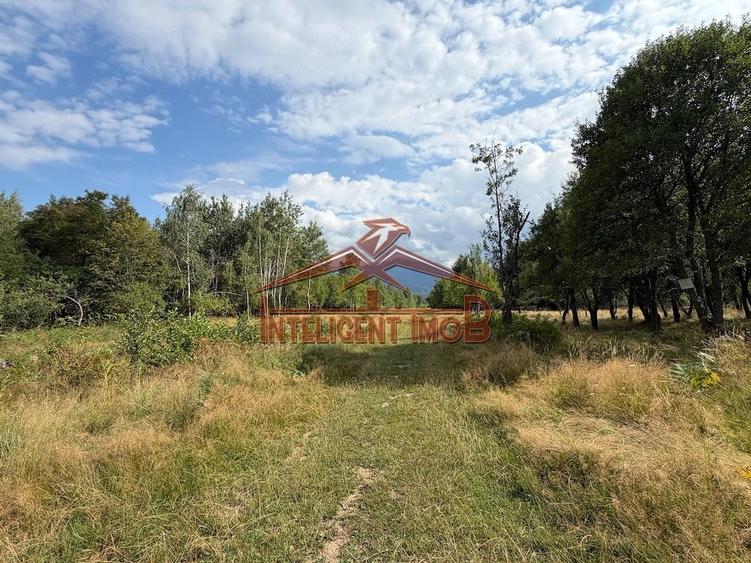 Teren extravilan in zona turistica Sambata de Sus/Dragus - 1