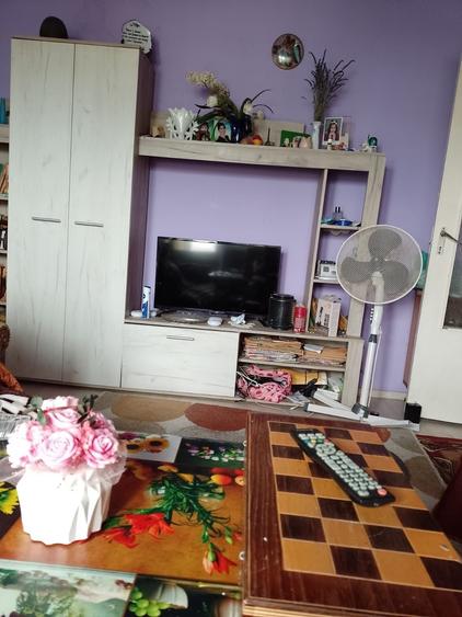 Apartament cu 2 camere semidecomandat în Șagu